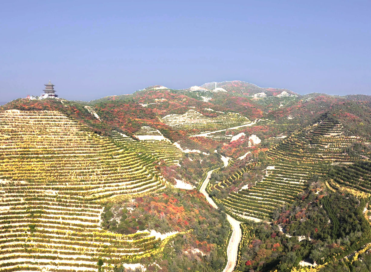 太原市太山東立面生態(tài)修復(fù)工程