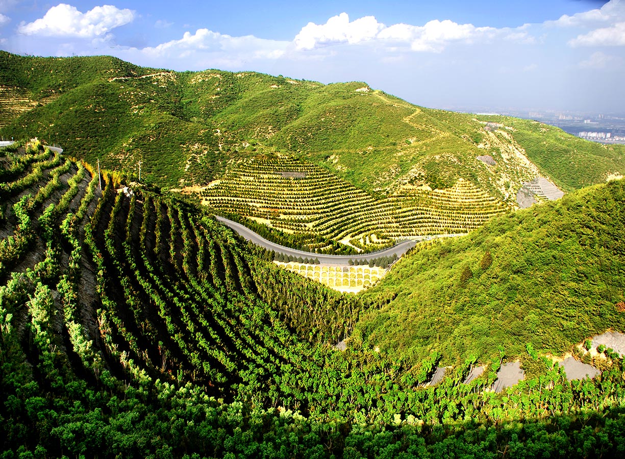 太原市天龍山景區(qū)提質(zhì)景觀(guān)配套綠化工程【康培集團(tuán)】