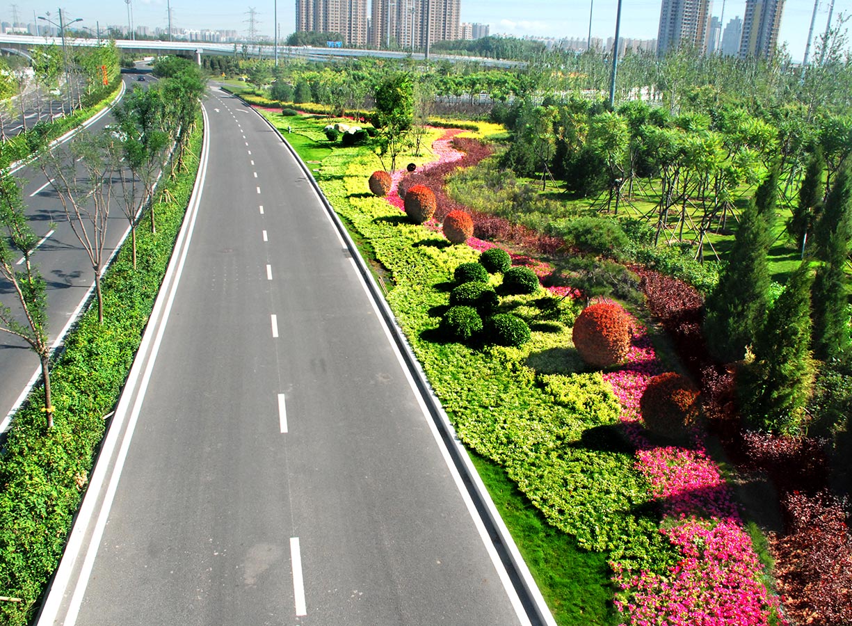 太原市濱河?xùn)|路道路景觀綠化工程【康培集團(tuán)】