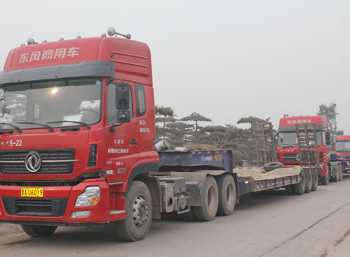 機械設(shè)備齊全