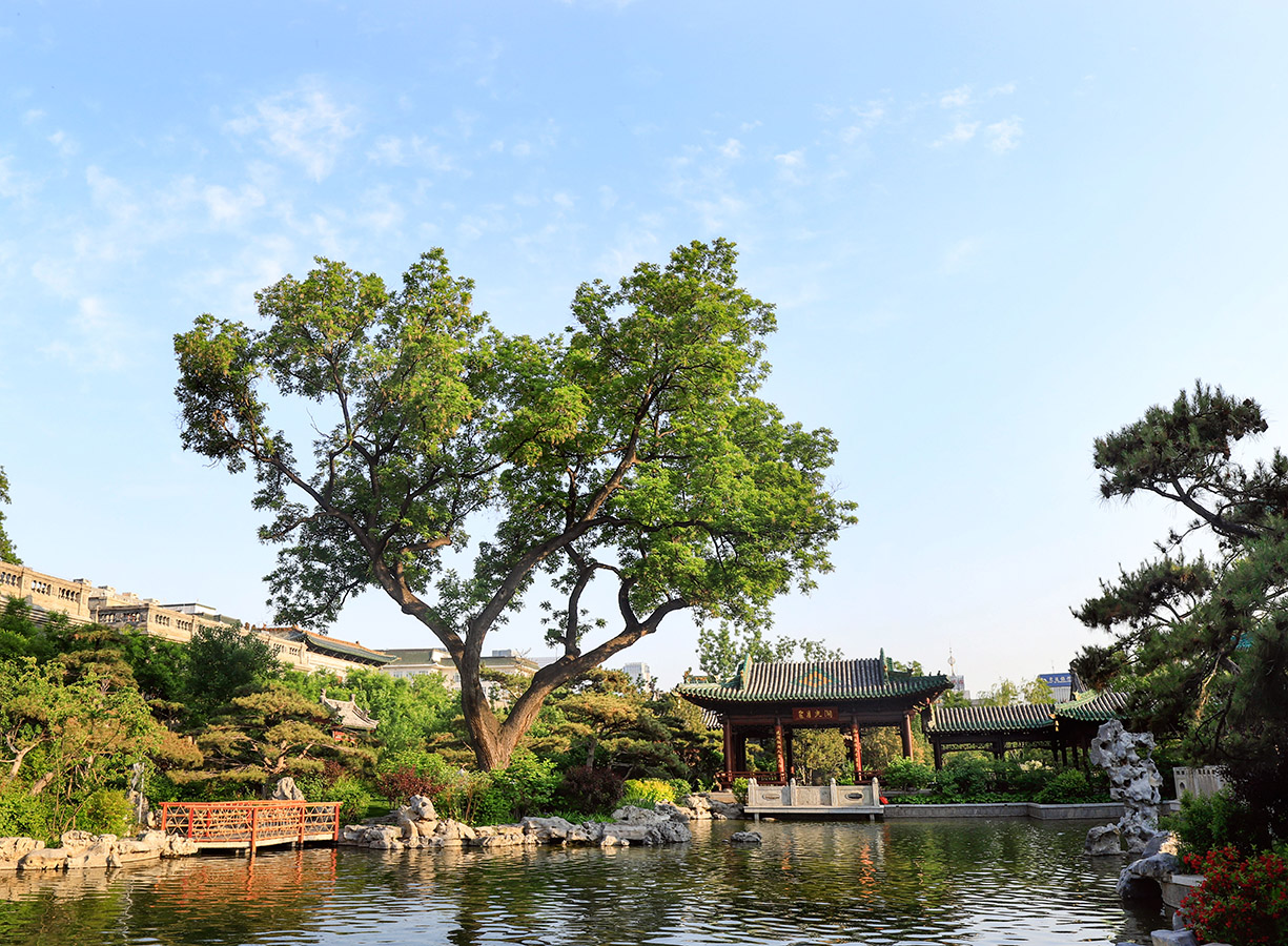 太原市千年府衙綠化工程【康培集團(tuán)】