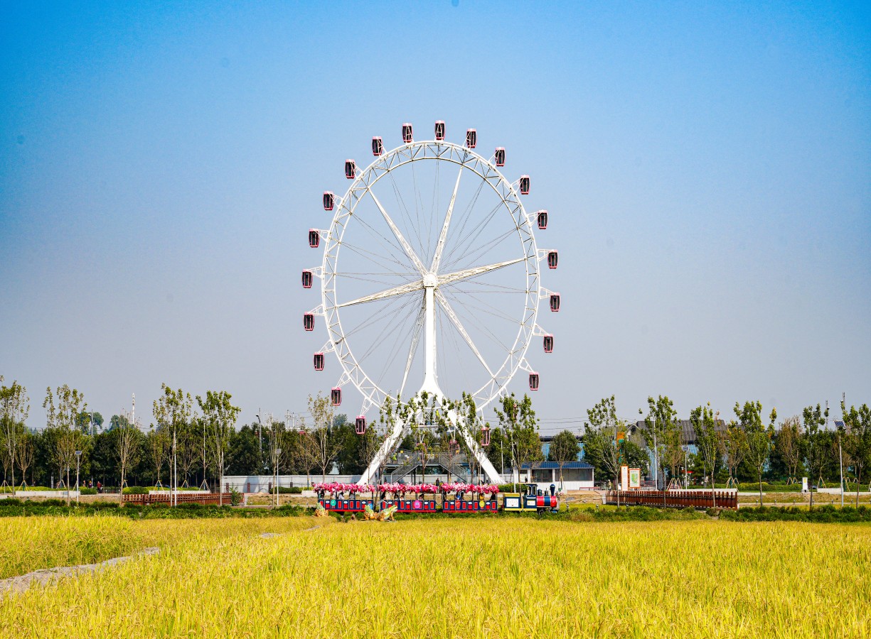 微信圖片_20250114142343